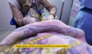 Afghanistan : la malnutrition touche de plus en plus de bébés