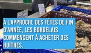 "Les huîtres seront plus chères à Noël", affirme un ostréiculteur du Bassin d'Arcachon