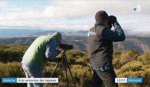 Ardèche : à la rencontre des rapaces, espèces méconnues du grand public