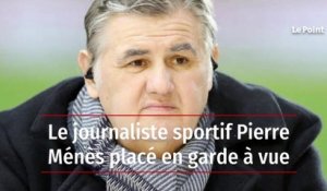 Le journaliste sportif Pierre Ménès placé en garde à vue