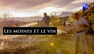 Terres de Mission n°241 : Les moines et le vin