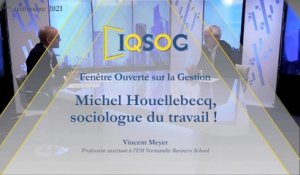 Michel Houellebecq, sociologue du travail !  [Vincent Meyer]