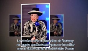 “Il lui manque de la cervelle- - Geneviève de Fontenay s'en prend à Sylvie Tellier avant l'élection