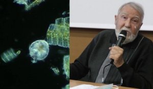 Et si le patron, c'était le plancton ? Conférence de Pierre Mollo * Collectif Pêche et Développement & Trigone Production 2021