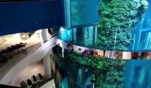 Enorme fuite d'eau dans l'aquarium d'un centre commercial