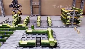 Il construit une maquette de maison avec des lego et des concombres