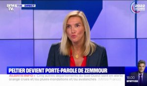 "C'est une clarification très saine": Agnès Evren (LR) réagit au ralliement de Guillaume Peltier à Éric Zemmour
