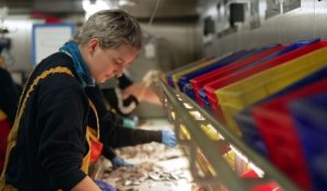Surpêche : des études pour évaluer la capacité de reproduction des poissons