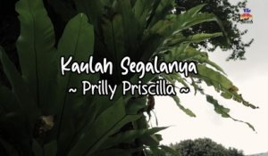 Prilly Priscilla -  Kaulah Segalanya (Official Lyric Video)