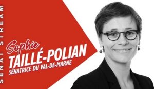 Sophie Taillé-Polian dans Sénat stream - Questions aux sénateurs (29/01/22)