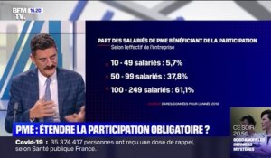 PME: faut-il étendre la participation obligatoire à toutes les entreprises de plus de 10 salariés?