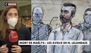 Mort de Maëlys : Les aveux de Nordahl Lelandais