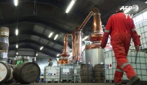 Ecosse: les producteurs de whisky profitent des effets du Brexit
