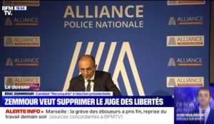 Éric Zemmour propose de "supprimer le juge des libertés"