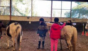 Des élèves en difficultés au contact des chevaux