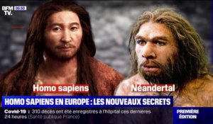 Une découverte dans la Drôme révèle que l'Homo sapiens est arrivé 10.000 ans plus tôt