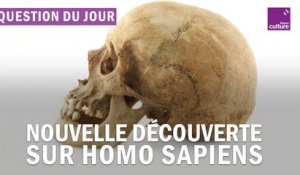Comment une dent de lait peut-elle modifier notre regard sur l'histoire d'Homo Sapiens ?