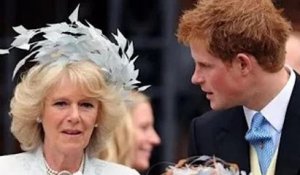 GB News: Un expert avertit que le silence de Harry sur la «reine Camilla» montre des sentiments «nég