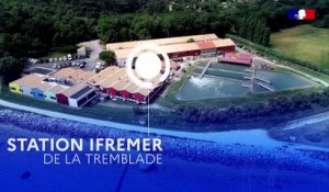 La station Ifremer de La Tremblade, un établissement au service d'une aquaculture innovante et durable