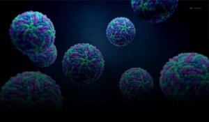 COVID-19 : Deltracron ce nouveau virus provenant du Royaume-Uni inquiète