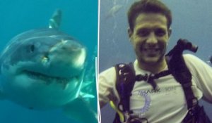 Australie : un instructeur de plongée de 35 ans tué par un requin blanc