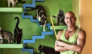 Cet Américain a créé la maison parfaite pour accueillir ses 24 chats