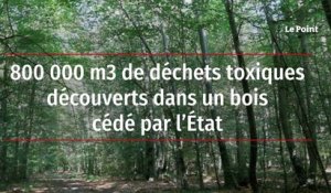 800 000 m3 de déchets toxiques découverts dans un bois cédé par l'Etat