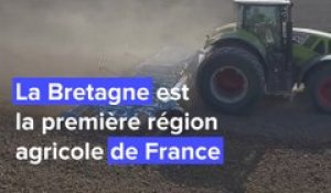 Le poids de l'agriculture en Bretagne