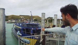 ELLE x On met les voiles : les baleines en Nouvelle-Zélande