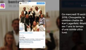 Karl Lagerfeld : l’incroyable fête d’anniversaire de sa chatte Choupette