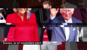 Le prince Charles dément avoir tenu des propos racistes envers Archie