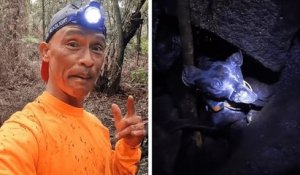 Hawaï : un homme est descendu en rappel dans un volcan pour sauver un chien