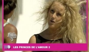 Zapping Public TV n°841 : Les Princes de l'Amour : il y a de l'électricité dans l'air...