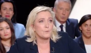 Marine Le Pen blessée