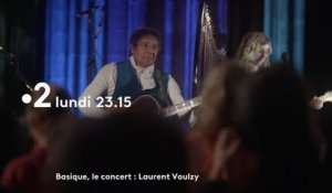 Basique, le concert (france 2) Laurent Voulzy