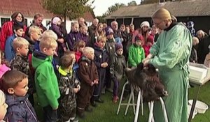 Le zapping du 14/110 : Danemark : Un zoo donne des cours de dissection… pour enfants !