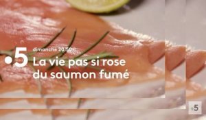 La vie pas si rose du saumon fumé (france 5) Bande-annonce