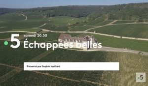 Echappées belles (France 5) Bourgogne terre de vigne