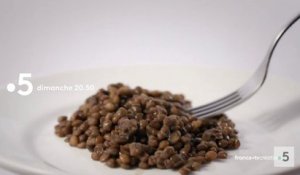 Lentilles, retour vers l'aliment du futur (France 5) bande-annonce