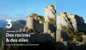 Des racines et des ailes (France 3) Terroirs d'excellence en Occitanie