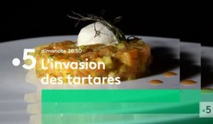 L'invasion des tartares - france 5 - 07 10 18