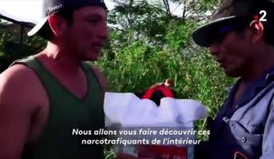 Complément d'enquête (France 2) Medellín-Paris : j'ai embarqué avec les narcos