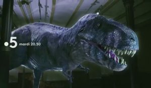 La vérité sur le T-Rex (France 5) bande-annonce