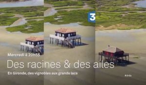 Des racines et des ailes - Passion patrimoine  En Gironde, des vignobles aux Grands Lacs - 16 08 17 - France 3