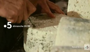 Le roquefort, tout un fromage (France 5) bande-annonce
