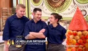 Le meilleur pâtissier  les professionnels - 16 05 17