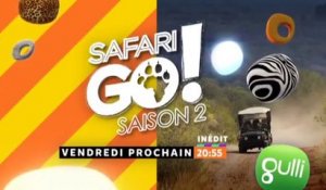 Safari Go ! - GULLI - 26 01 18