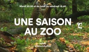 Une saison au Zoo - 05/04/16