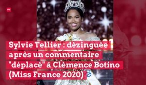 Sylvie Tellier : dézinguée après avoir écrit un commentaire "déplacé" à Clémence Botino (Miss France 2020)