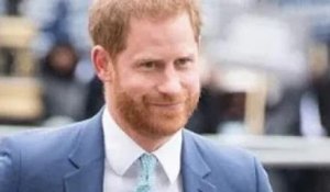 Je viens de jeter des jouets hors du landau !" La ligne de sécurité britannique du prince Harry déma